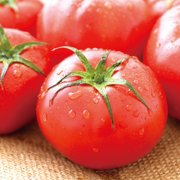 SS111 【地産思送】
静岡県産 アメーラトマト しずてつストア オンラインショップ