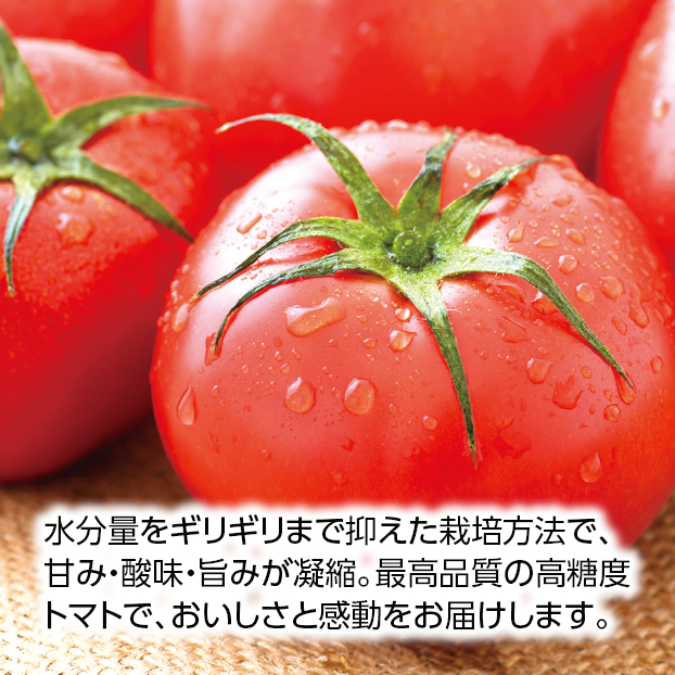 SS111 【地産思送】
静岡県産 アメーラトマト しずてつストア オンラインショップ