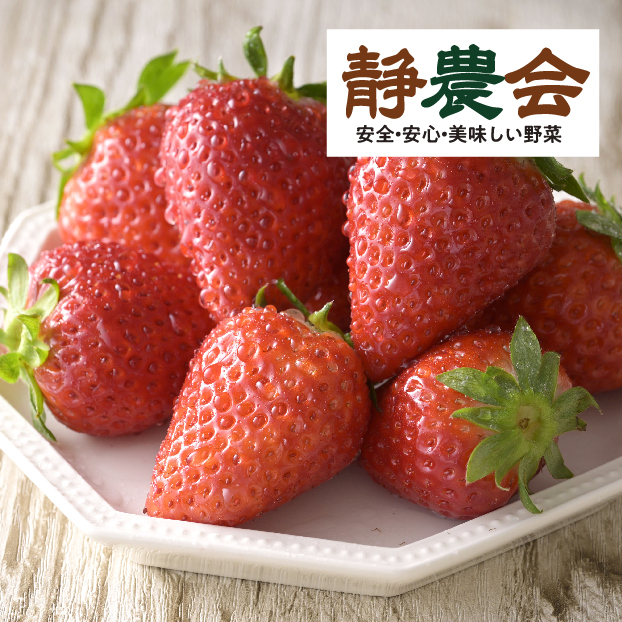 【生産者の声を聞きました】はら農園 完熟きらぴ香 しずてつストア オンラインショップ