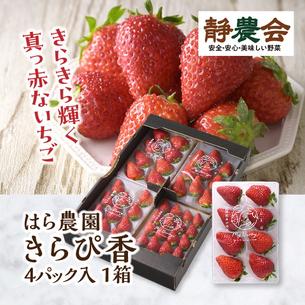 【生産者の声を聞きました】はら農園 完熟きらぴ香 しずてつストア オンラインショップ