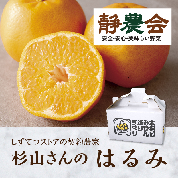 杉山さんのはるみ(Sもしくは2Sサイズ) しずてつストア オンラインショップ