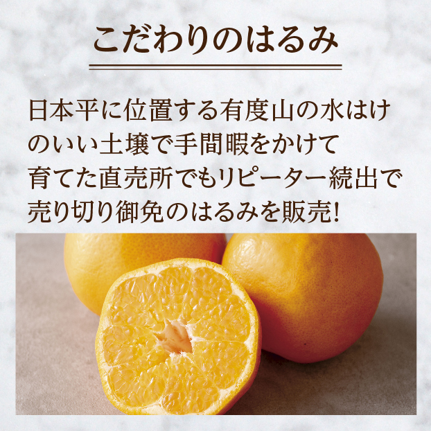 杉山さんのはるみ(Sもしくは2Sサイズ) しずてつストア オンラインショップ