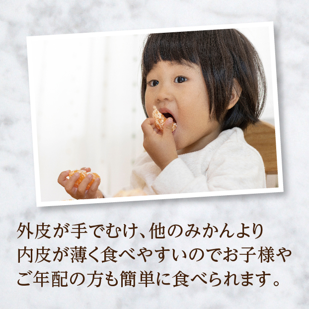 杉山さんのはるみ(Sもしくは2Sサイズ) しずてつストア オンラインショップ