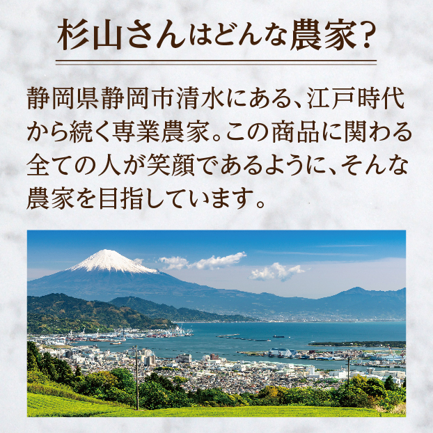 杉山さんのはるみ(Sもしくは2Sサイズ) しずてつストア オンラインショップ