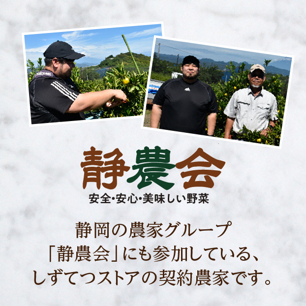 杉山さんのはるみ(Sもしくは2Sサイズ) しずてつストア オンラインショップ