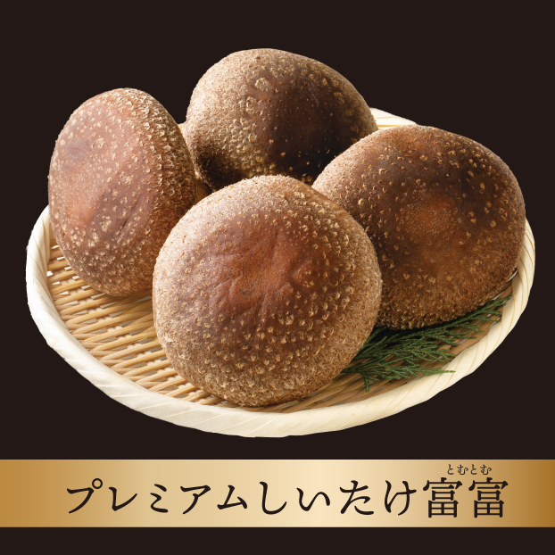 SS612 【12月13日受取限定】植菌地 静岡 収穫地静岡県藤枝市岡部町 石井さんの生椎茸(菌床栽培)富富-とむとむ- しずてつストア オンラインショップ