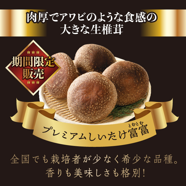 SS612 【12月13日受取限定】植菌地 静岡 収穫地静岡県藤枝市岡部町 石井さんの生椎茸(菌床栽培)富富-とむとむ- しずてつストア オンラインショップ