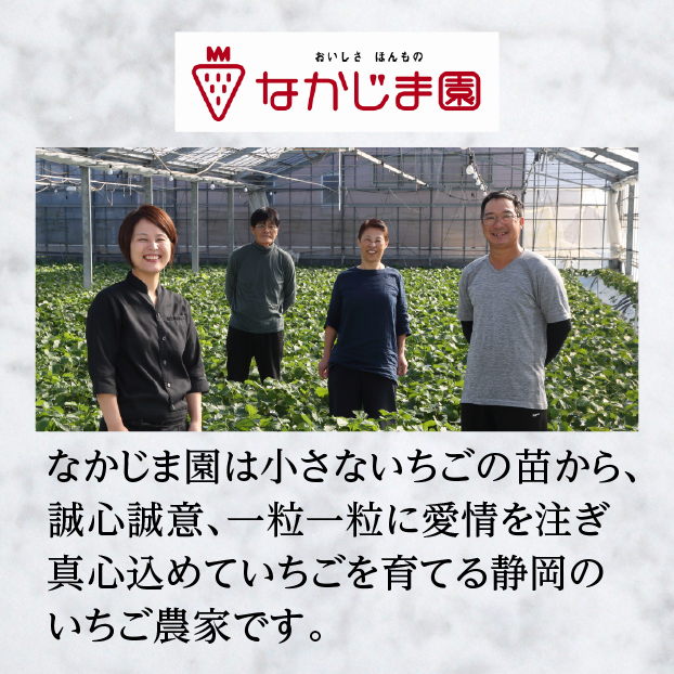 ひんやり苺 しずてつストア オンラインショップ
