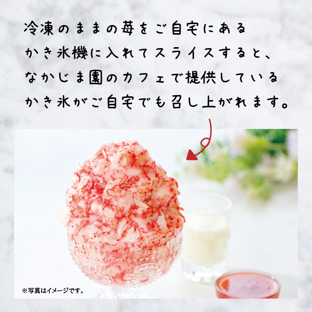 ひんやり苺 しずてつストア オンラインショップ