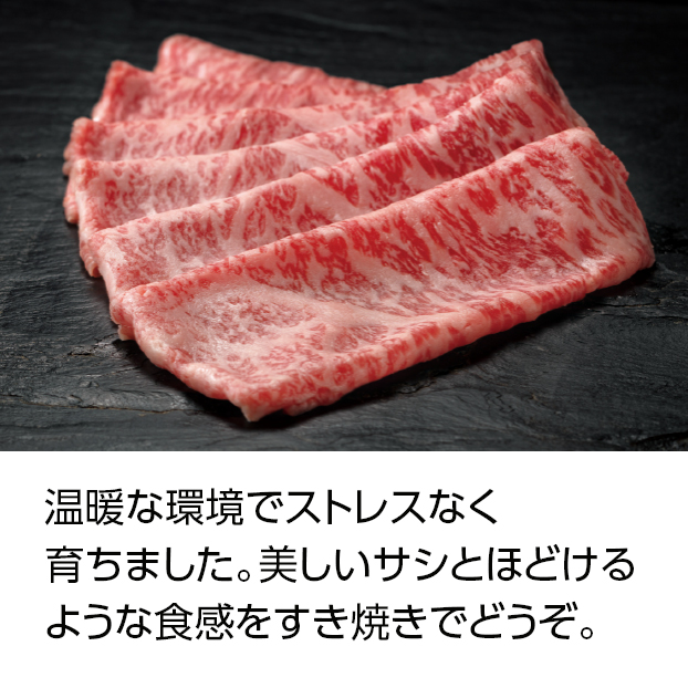 SS001 【生産者の声を聞きました。】
静岡県産・黒毛和種 遠州夢咲牛ローススライス しずてつストア オンラインショップ