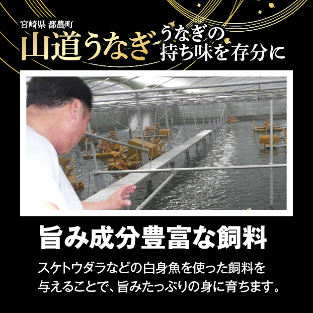 GG064 【EC限定】 山道うなぎ長蒲焼 特大サイズ 予約 受け付け中