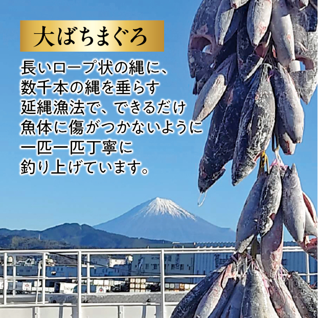 しずてつストアオンラインショップ