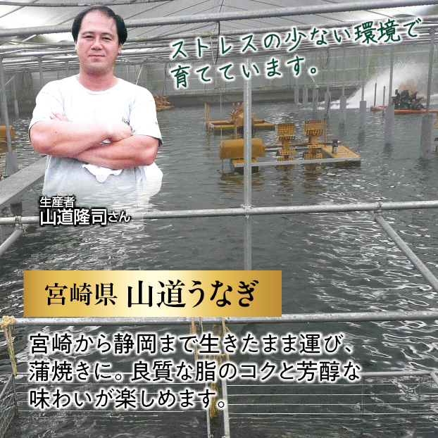 しずてつストアオンラインショップ