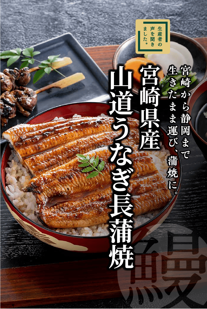 しずてつストアオンラインショップ 山道うなぎ長蒲焼