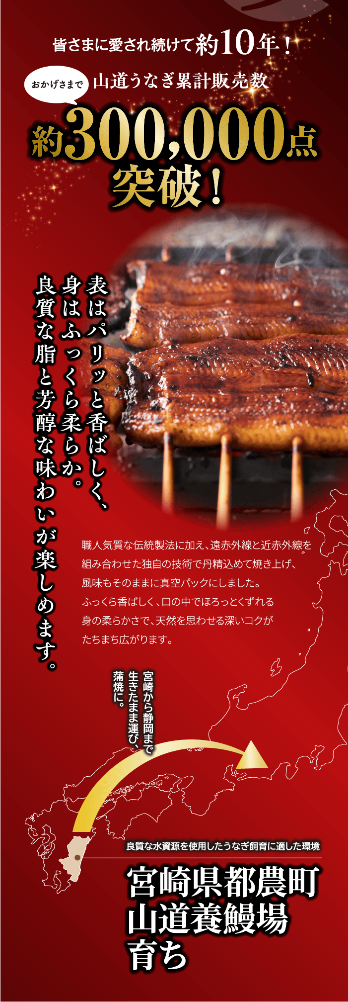 しずてつストアオンラインショップ 山道うなぎ長蒲焼