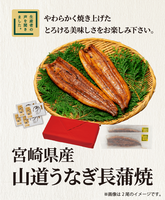 しずてつストアオンラインショップ 山道うなぎ長蒲焼