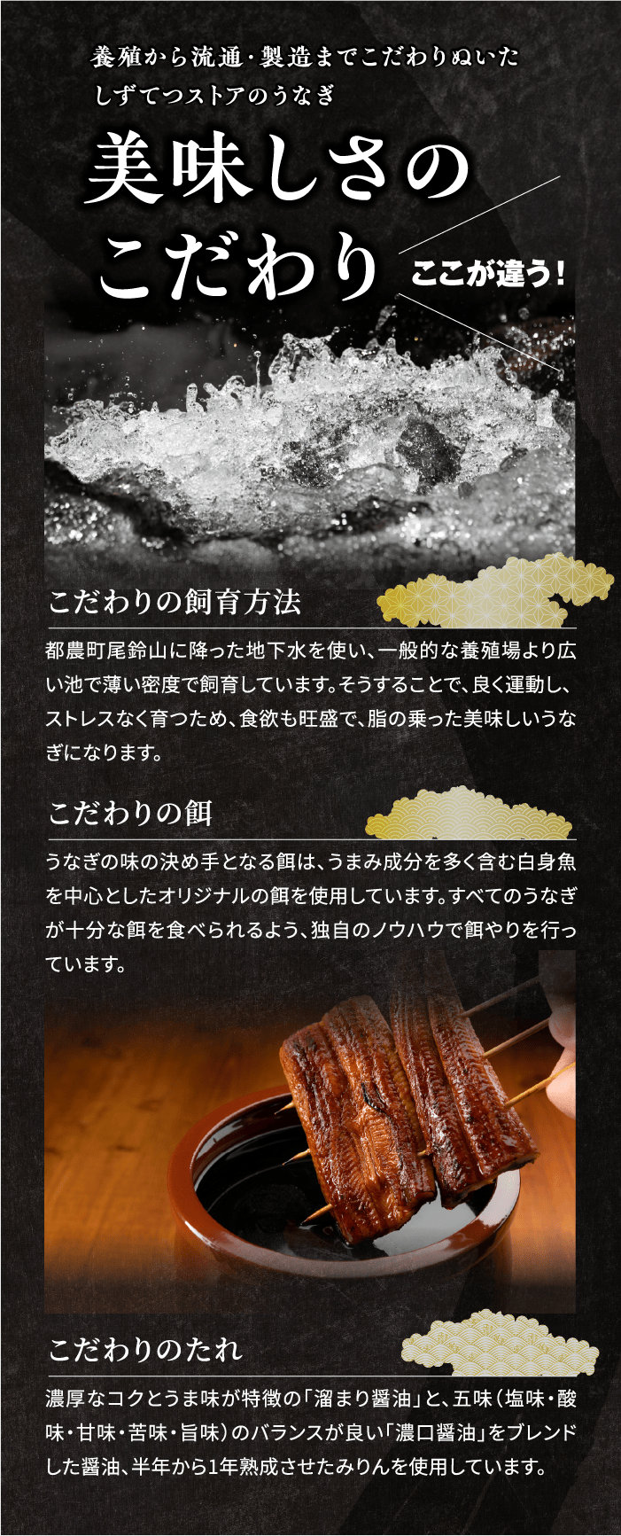しずてつストアオンラインショップ 山道うなぎ長蒲焼