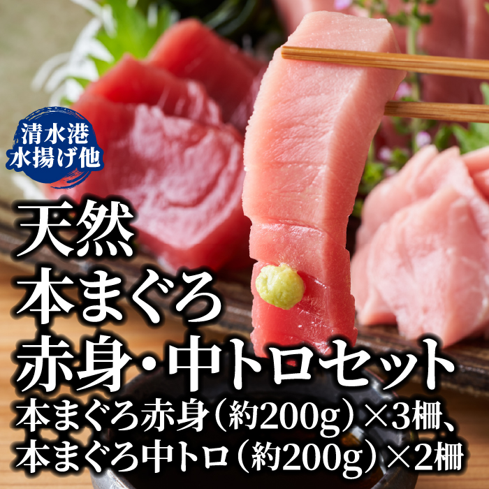 しずてつストアオンラインショップ 天然まぐろ赤身・中トロセット