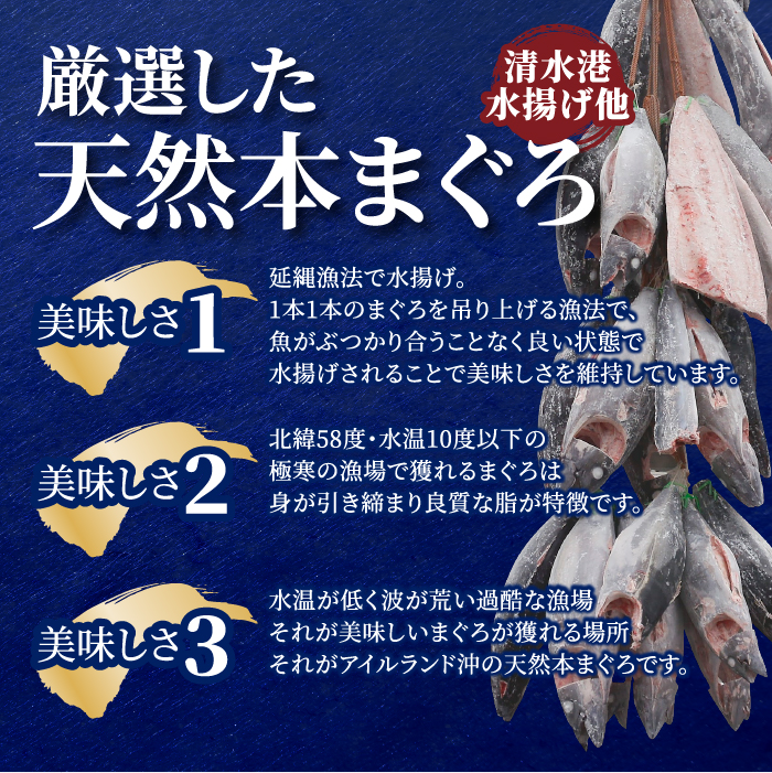 しずてつストアオンラインショップ 天然まぐろ赤身・中トロセット