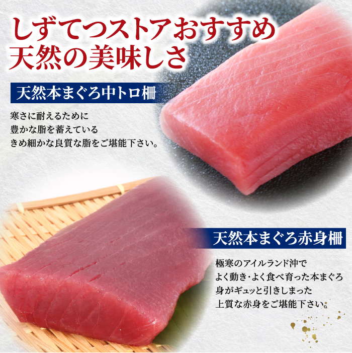 しずてつストアオンラインショップ 天然まぐろ赤身・中トロセット