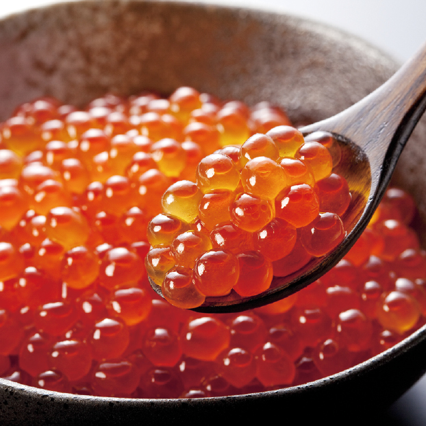 SS080 山十前川商店 いくら醤油 しずてつストア オンラインショップ