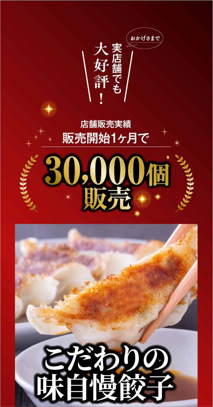 しずてつストアオンラインショップ こだわり黒豚入肉焼売