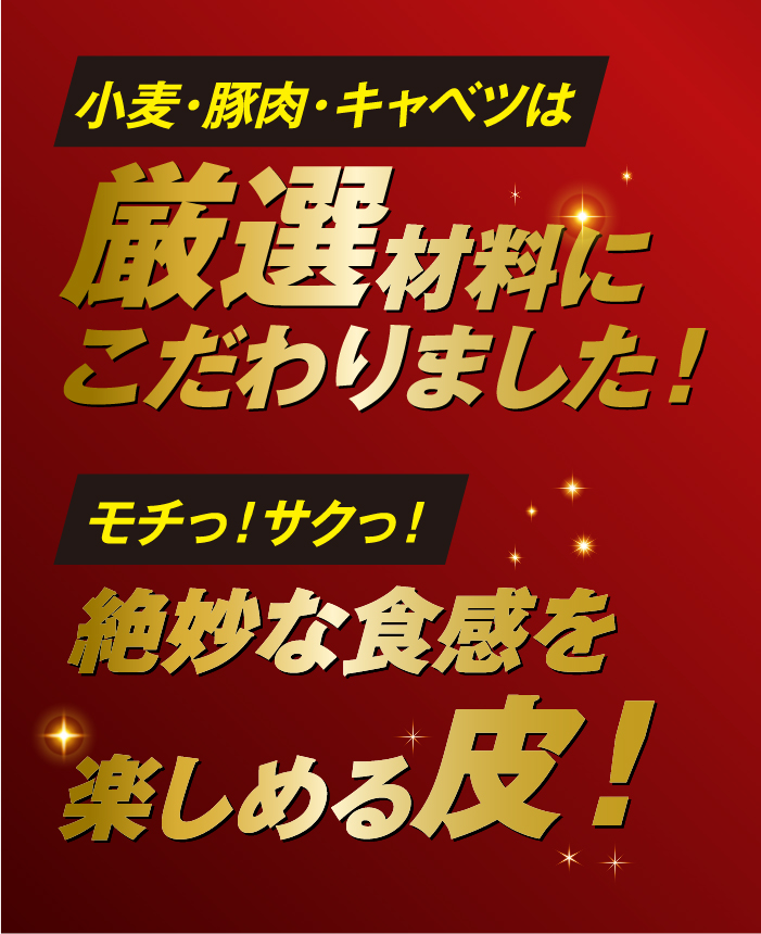 しずてつストアオンラインショップ こだわり黒豚入肉焼売